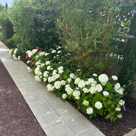 Lägenhet De Prestige Au Centre Climatise Avec Jardin Prive