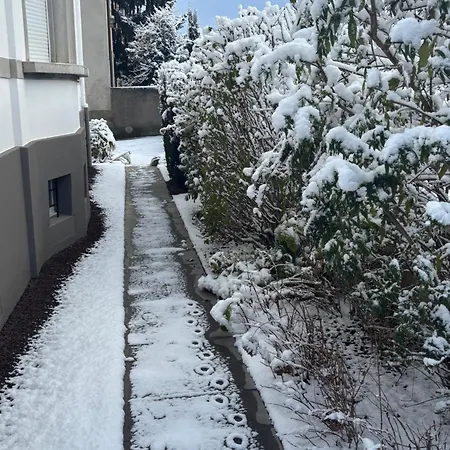 De Prestige Au Centre Climatise Avec Jardin Prive كولمار