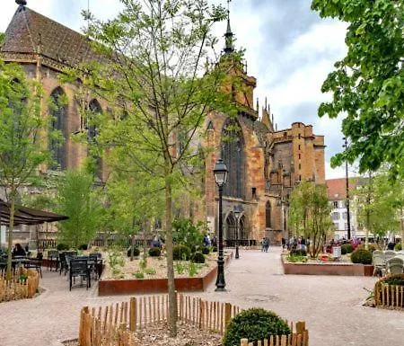 Apartamento De Prestige Au Centre Climatise Avec Jardin Prive Colmar