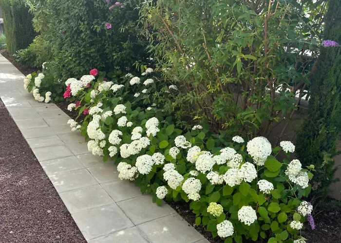 Apartamento De Prestige Au Centre Climatise Avec Jardin Prive