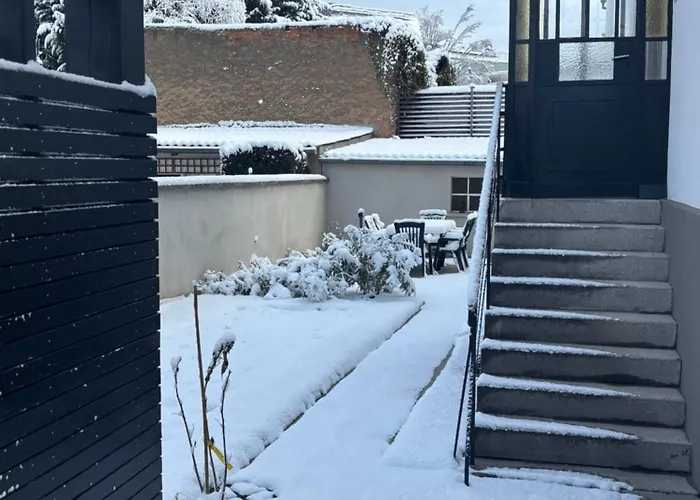 De Prestige Au Centre Climatise Avec Jardin Prive *