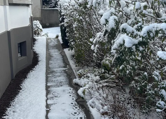 De Prestige Au Centre Climatise Avec Jardin Prive Colmar