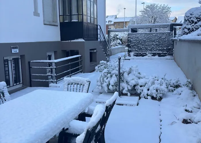 De Prestige Au Centre Climatise Avec Jardin Prive * Colmar