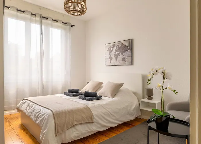 De Prestige Au Centre Climatise Avec Jardin Prive Colmar